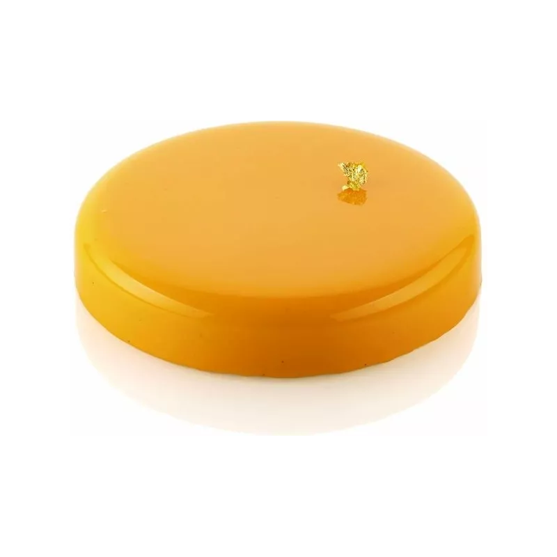 Moule rond bord arrondi 160xh30  