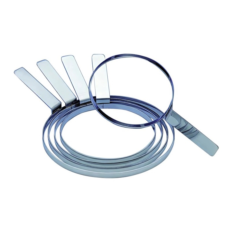 Chablon - Diamètre 22 cm Hauteur 1,5 cm 