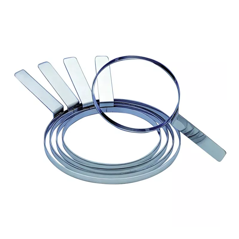 Chablon - Diamètre 22 cm Hauteur 1,5 cm 