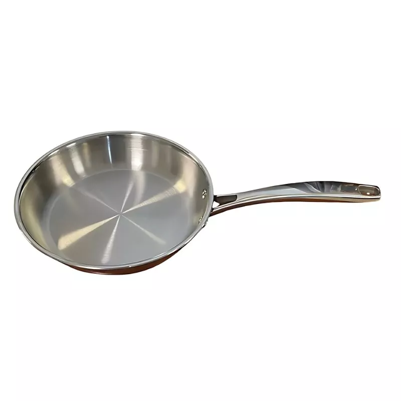 Poêle en inox Tripli Pro - 20 cm 