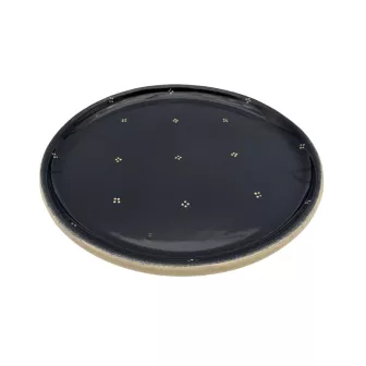 Plat à tarte de 33 cm Bleu 4 Points