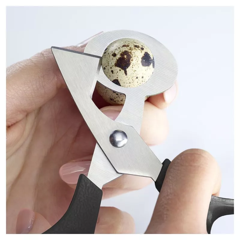 Ciseaux à œufs de caille inox coupe nette