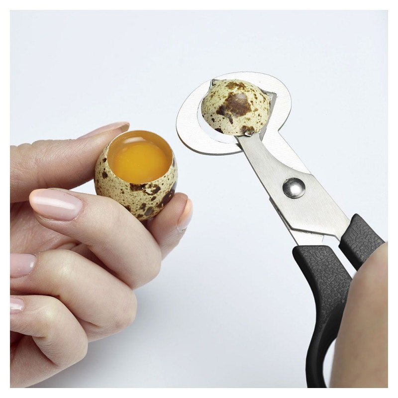 Ciseaux à Œufs de Caille – Coupe-Coquille Précis et Facile | CuisinezPâtissez