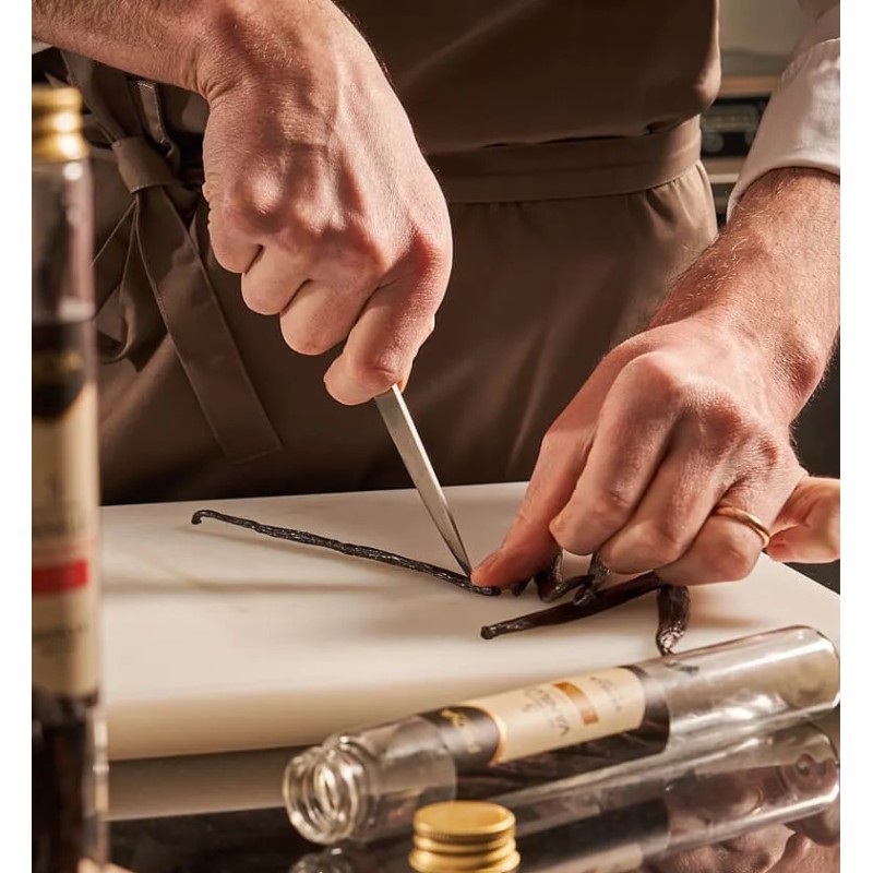 Coupe gousse de vanille Bourbon Madagascar