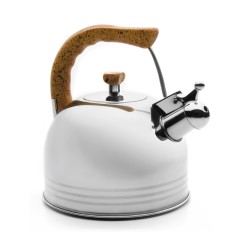 bouilloire sifflante en inox 2,5 L avec manche isolant, chauffage rapide et sécurité intégrée