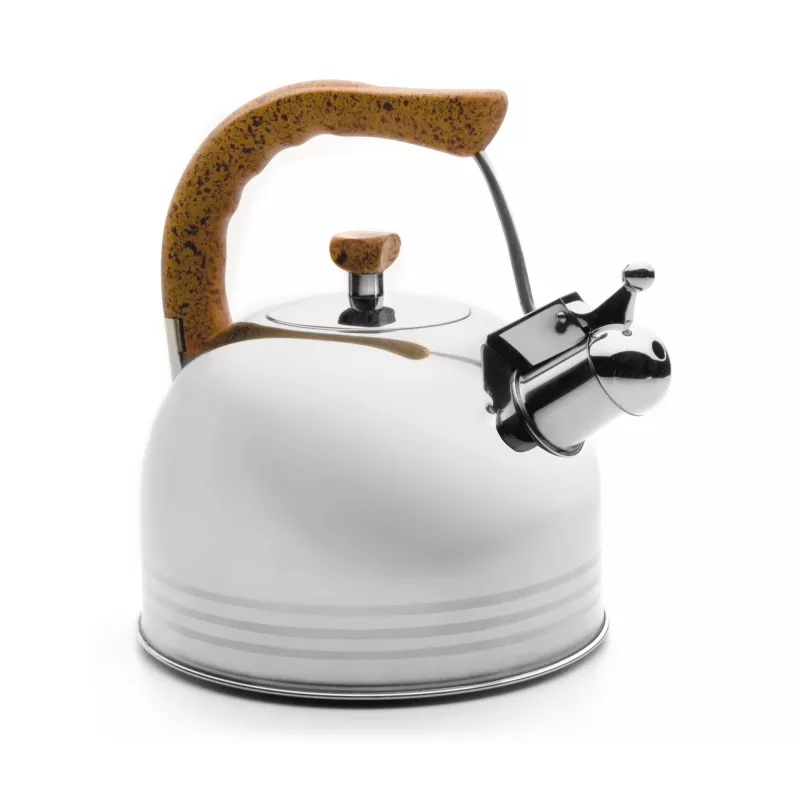 bouilloire sifflante en inox 2,5 L avec manche isolant, chauffage rapide et sécurité intégrée