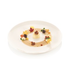 Dessert décor feuilles Selva silicone