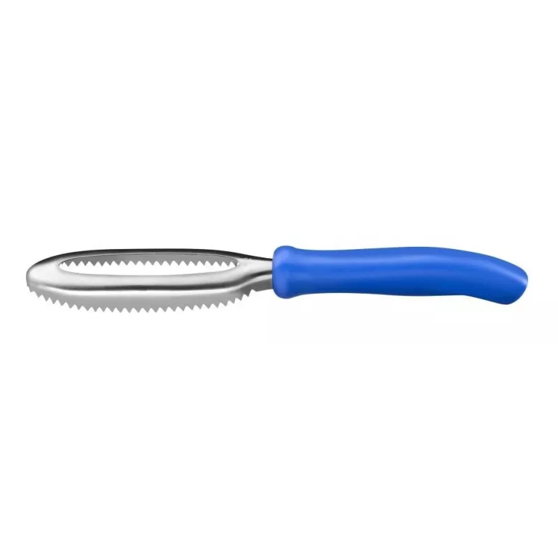 Écaillleur en acier inoxydable de 28 cm  