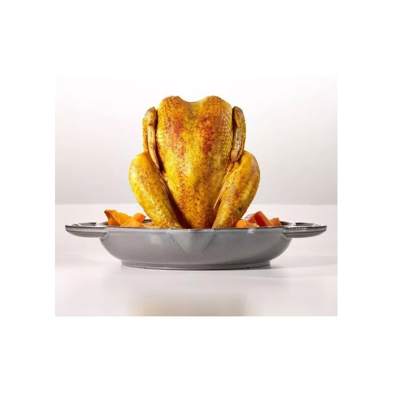 Roaster Vertical - Gris Graphite, 24 cm 