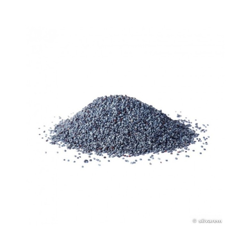 Graines de Pavot Bleu 1 kg 