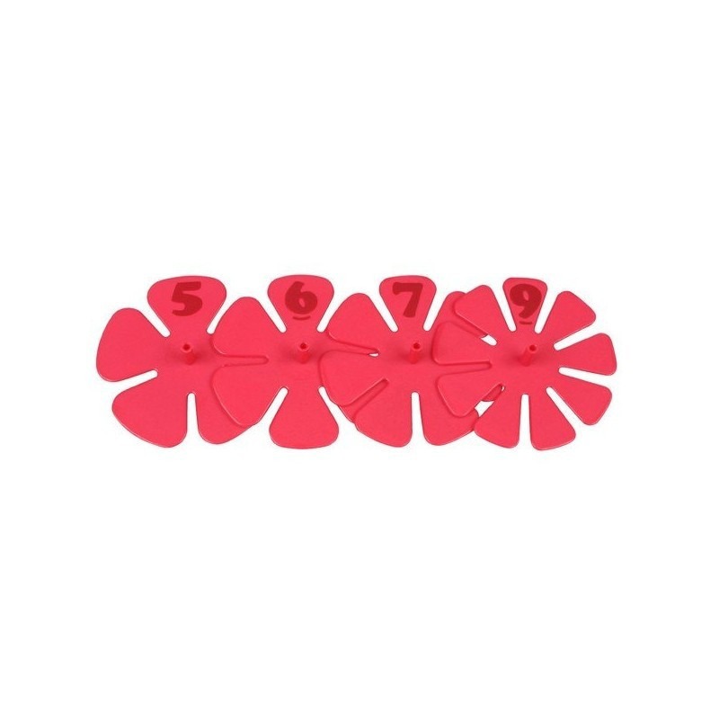 Marque-parts de Gâteaux 5, 6, 7 et 9 parts 