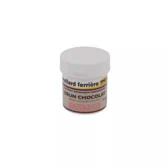 Colorant Alimentaire en Poudre Hydrosoluble – 20g Couleur:Brun chocolat