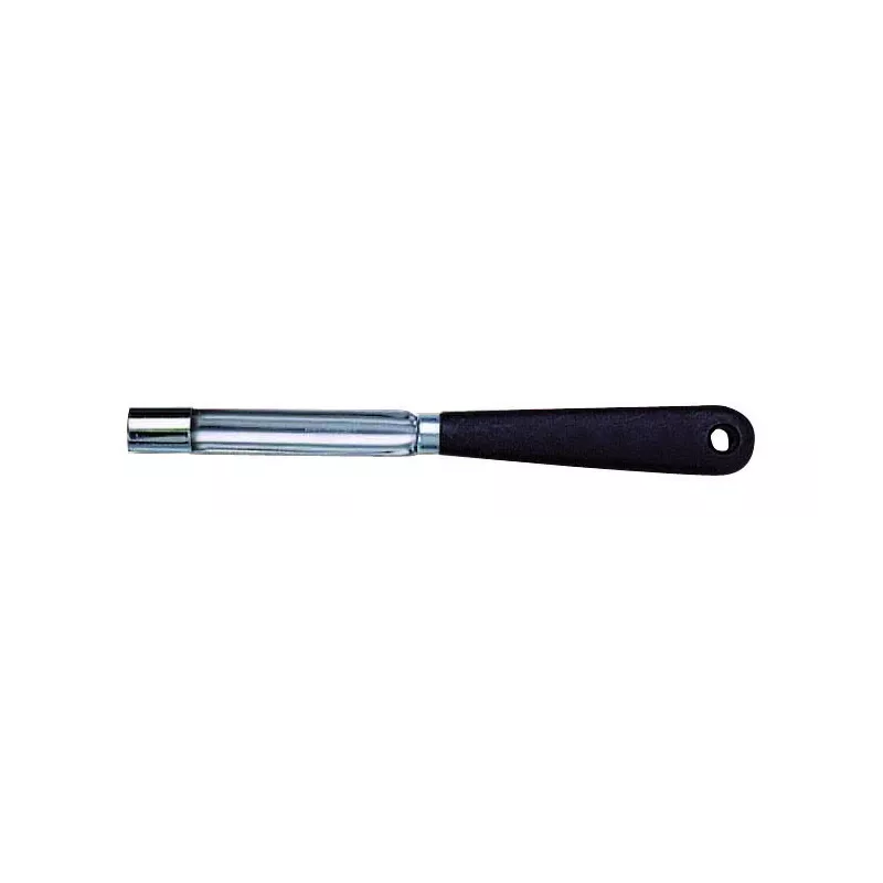 Vide pomme en inox  