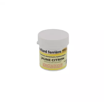 Colorant Alimentaire en Poudre Hydrosoluble – 20g Couleur:Jaune citron