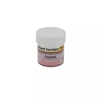 Colorant Alimentaire en Poudre Hydrosoluble – 20g Couleur:Cassis