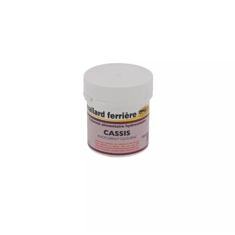 Colorant Alimentaire en Poudre Hydrosoluble – 20g Couleur:Cassis