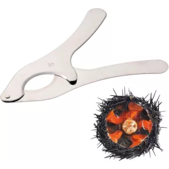Coupe-oursin en Inox 