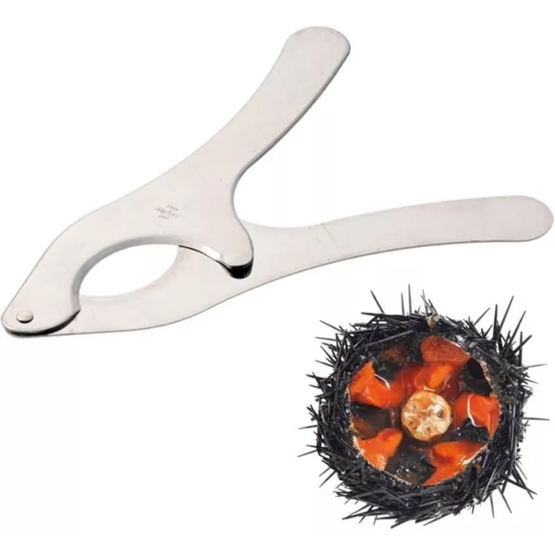 Coupe-oursin en Inox 