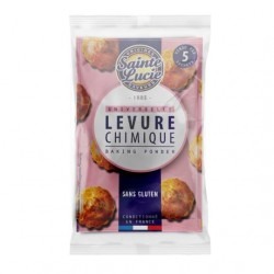 Levure Chimique Sans Gluten - Lot de 10 Sachets 