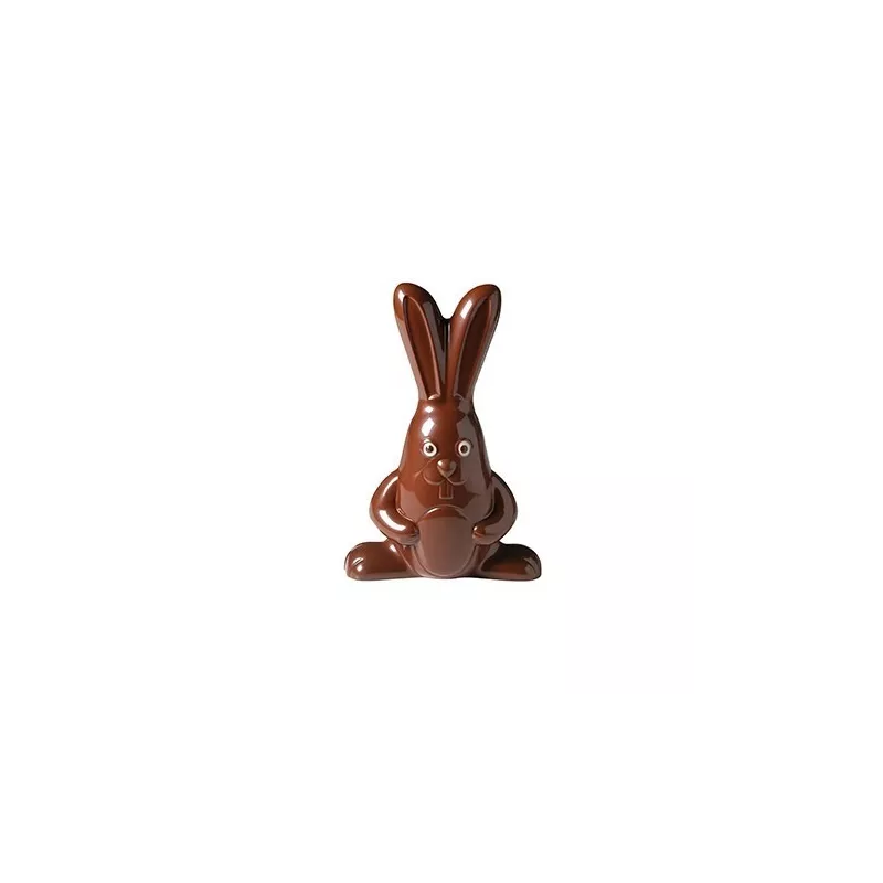 Moule Grand Lapin 19cm N°221 