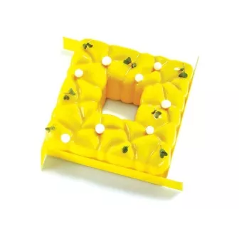 Moule Silicone Pavocake 'Square'  