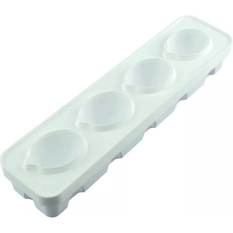 Moule Silicone 4 Citrons 120ml  