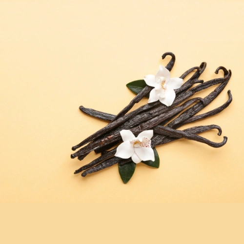 Gousses de vanille Bourbon Madagascar avec fleurs de vanille sur fond beige