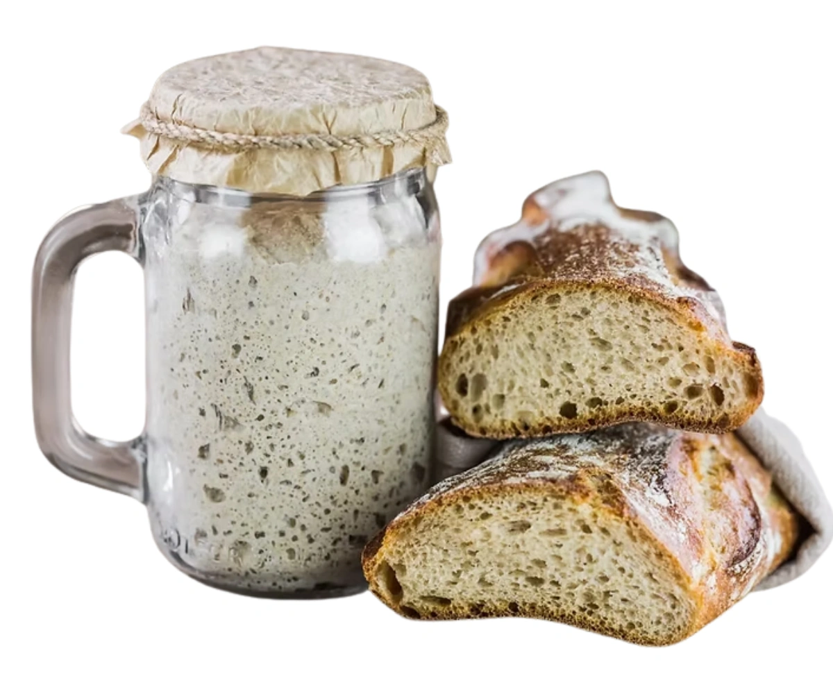 Levain lactique pour un croissant au goût authentique