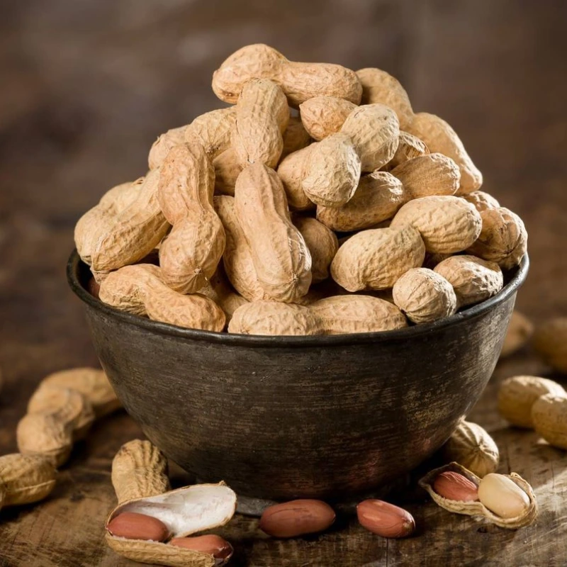 cacahuètes d’Argentine entières en coque dans un bol rustique pour fabrication de pâte de cacahuète Sébalcé