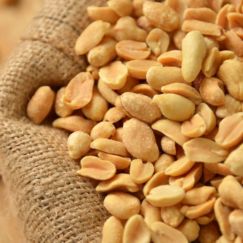 cacahuètes d’Argentine naturelles pour fabrication de pâte de cacahuète Sébalcé
